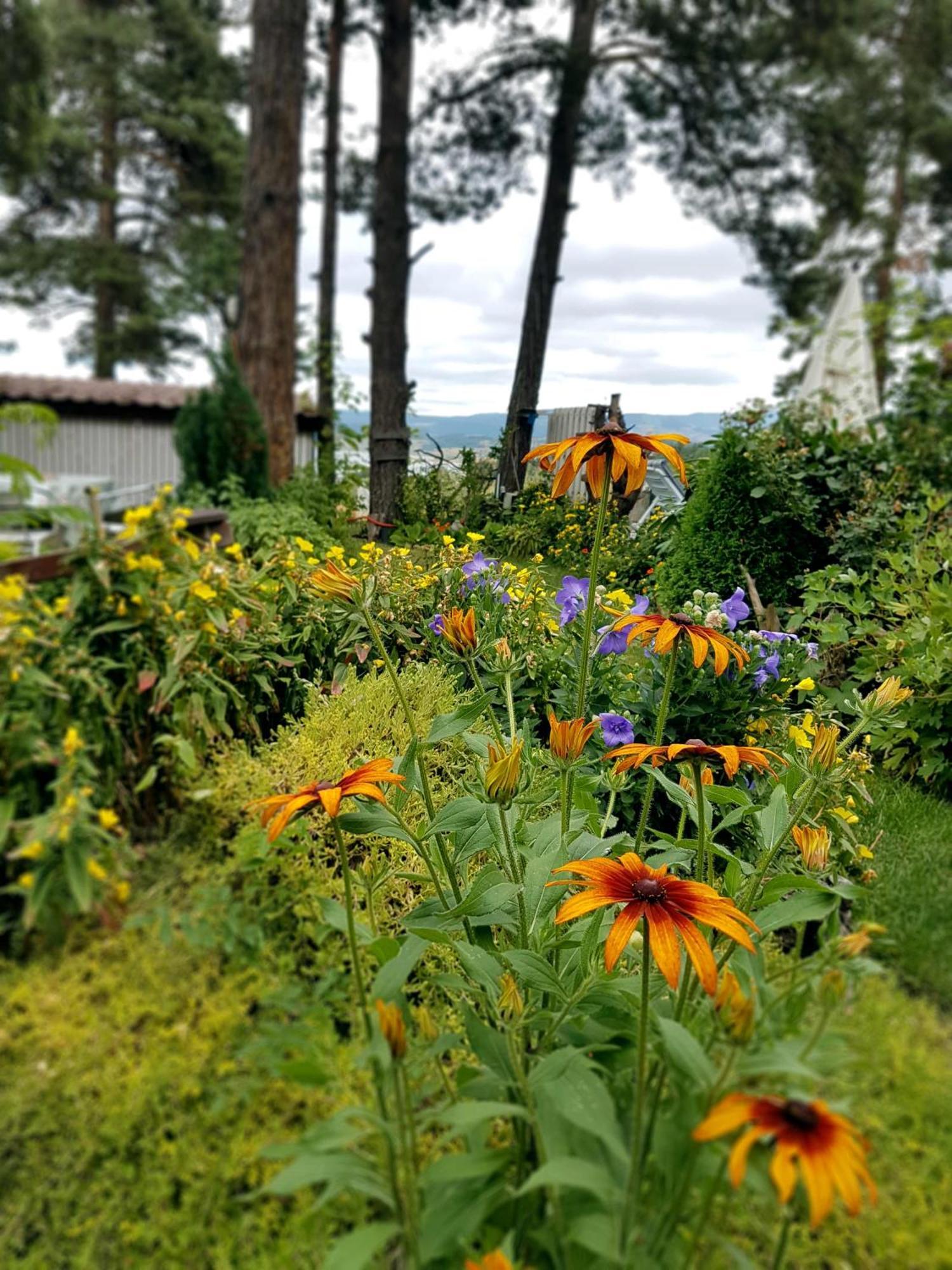 Vila Kalvachevi Ţigov Ceark Exterior foto
